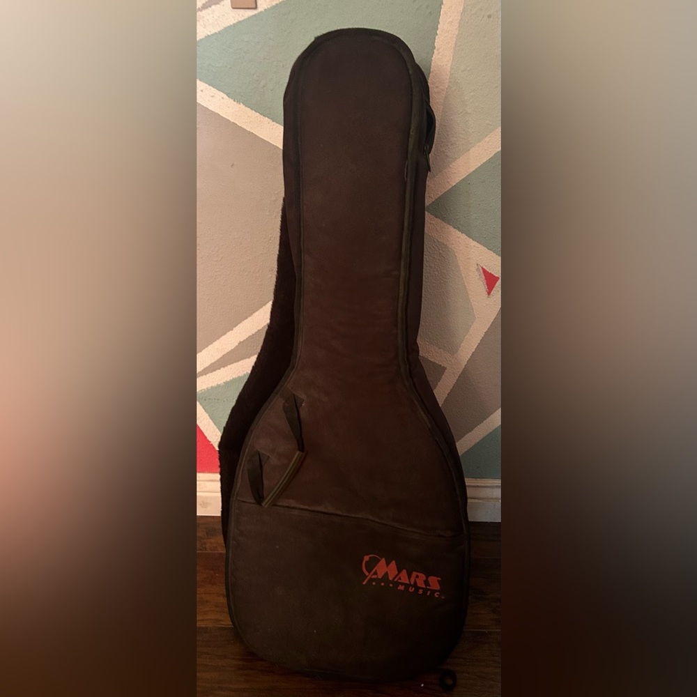 Acoustic guitar case